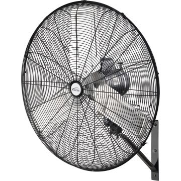 30" Industrial Oscillating Wall Fan, 2-Speed, All-Metal