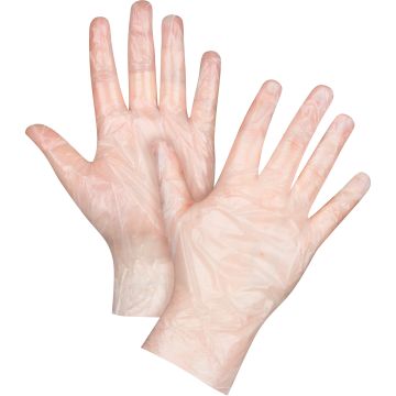 Economy Disposable Gloves,Polyethylene, 1-mil, Powder-Free, Clear — Supply Solution